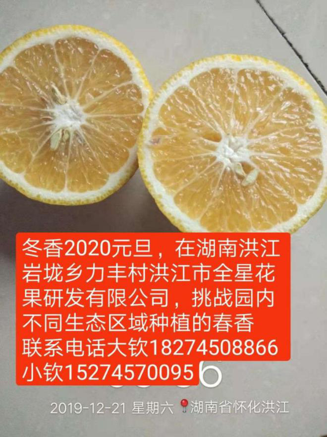 洪江花卉種植,果樹(shù)種植,水稻研種,洪江市全星花果研發(fā)有限公司