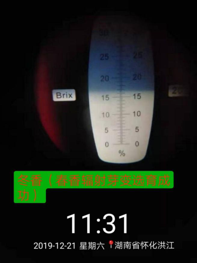 洪江花卉種植,果樹(shù)種植,水稻研種,洪江市全星花果研發(fā)有限公司