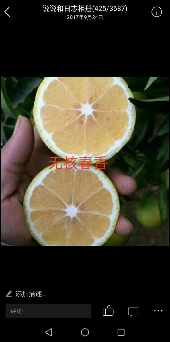 洪江花卉種植,果樹(shù)種植,水稻研種,洪江市全星花果研發(fā)有限公司