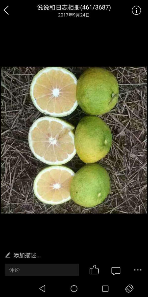 洪江花卉種植,果樹(shù)種植,水稻研種,洪江市全星花果研發(fā)有限公司