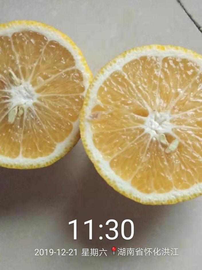 洪江花卉種植,果樹(shù)種植,水稻研種,洪江市全星花果研發(fā)有限公司