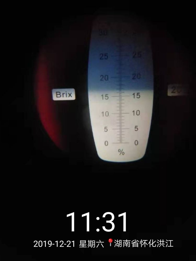 洪江花卉種植,果樹(shù)種植,水稻研種,洪江市全星花果研發(fā)有限公司